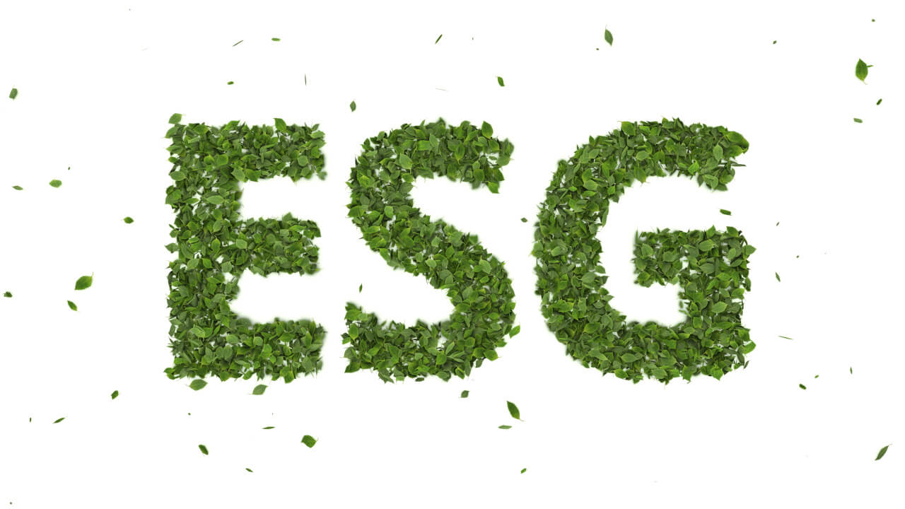 ESG Schriftzug bestehend aus grünen Blättern auf weißem Hintergrund.